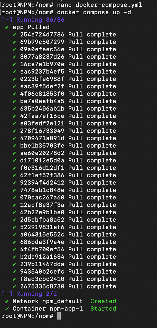 Npm 01