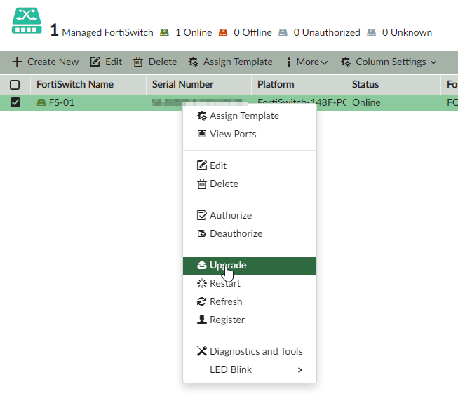 FS_Update_Manager_01