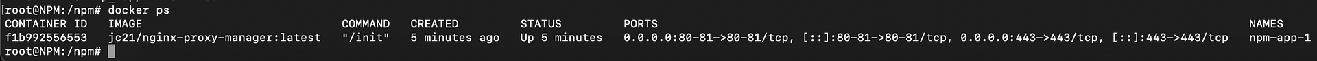 Npm 02
